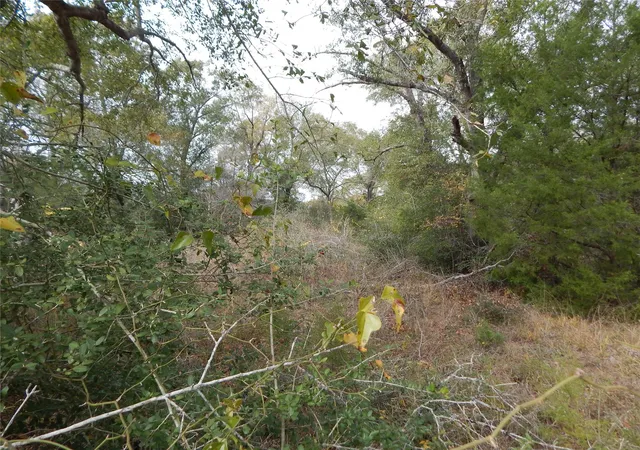3rd image of Tbd Tx-30, Anderson, TX 77830 | MLS# 96587356