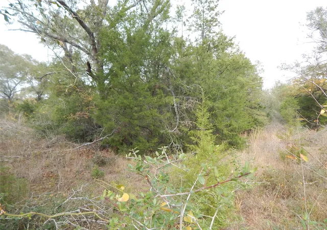 4th image of Tbd Tx-30, Anderson, TX 77830 | MLS# 96587356
