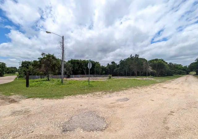 Homes for sale in Navasota, TX | 701 E Blackshear St, Navasota, TX 77868 | MLS# 94647754