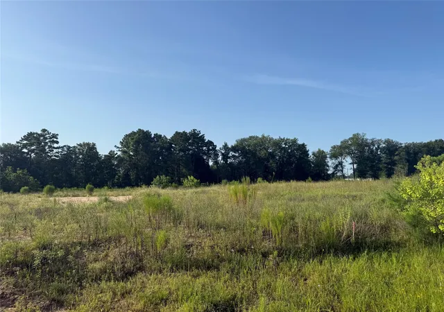 Land for sale at 2212 & 2216 Rd 5913, Cleveland, TX 77327 | MLS# 81958468