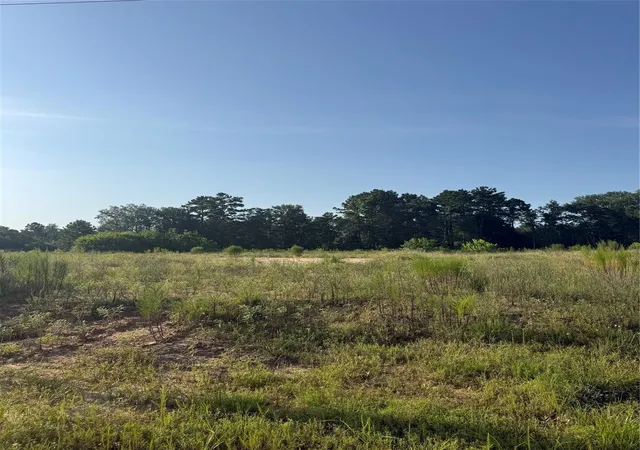 Photo 2 of Land for sale at 2212 & 2216 Rd 5913, Cleveland, TX 77327 | MLS# 81958468 | Listing updated on 2026-07-27