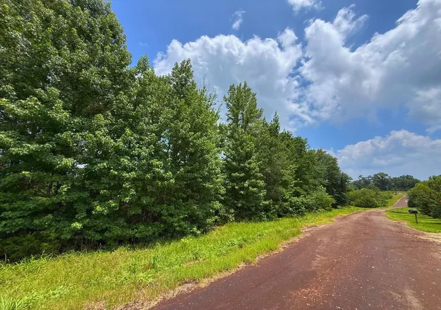 Homes for sale in Centerville, TX | 6 Ac Cr 2012, Centerville, TX 75833 | MLS# 22794828