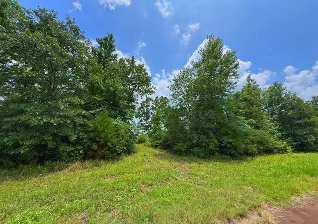 Homes for sale in Centerville, TX | 6 Ac Cr 2012, Centerville, TX 75833 | MLS# 22794828