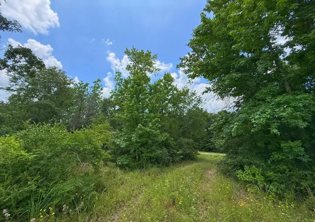 Homes for sale in Centerville, TX | 6 Ac Cr 2012, Centerville, TX 75833 | MLS# 22794828