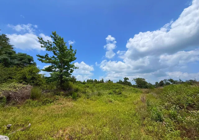 Homes for sale in Centerville, TX | 6 Ac Cr 2012, Centerville, TX 75833 | MLS# 22794828