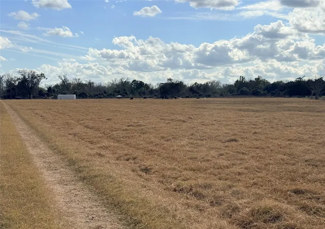 Photo 3 of Land for sale at 1300 State Hwy 71, Columbus, TX 78933 | MLS# 57148092 | Listing updated on 2026-03-31
