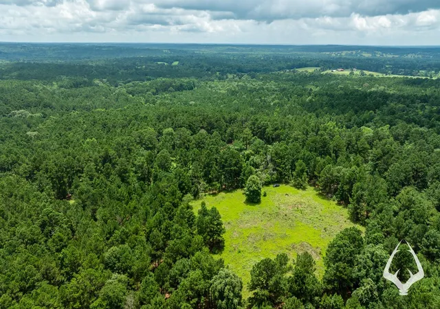 Homes for sale in Grapeland, TX | 00 County Road 2265, Grapeland, TX 75844 | MLS# 10924362