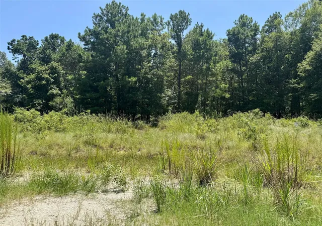 14th image of Tract 27 Cr 1105, Kennard, TX 75847 | MLS# 7863245