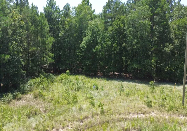 image of Tract 27 Cr 1105, Kennard, TX 75847 | MLS# 7863245