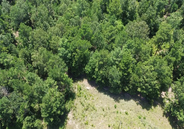 image of Tract 27 Cr 1105, Kennard, TX 75847 | MLS# 7863245
