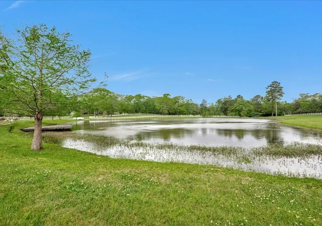 45th image of 3029 W Us Hwy 190 W, Woodville, TX 75979 | MLS# 22874980