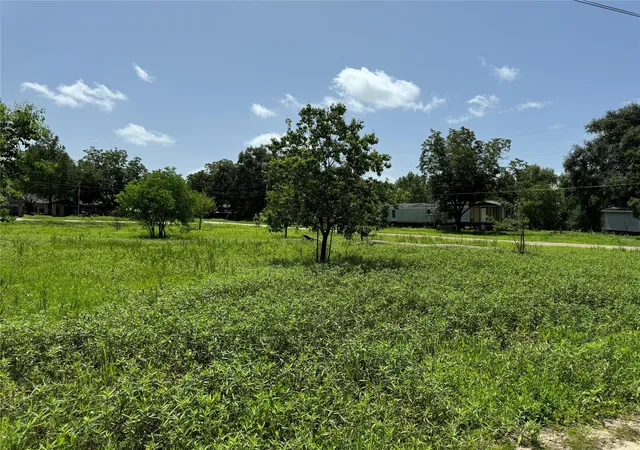 Photo 3 of Land for sale at 000 White Oak Dr, Trinity, TX 75862 | MLS# 895416 | Listing updated on 2025-09-25