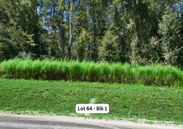 Photo 2 of Land for sale at 135 Hollow Hill Dr, New Waverly, TX 77358 | MLS# 70892575 | Listing updated on 2026-09-18