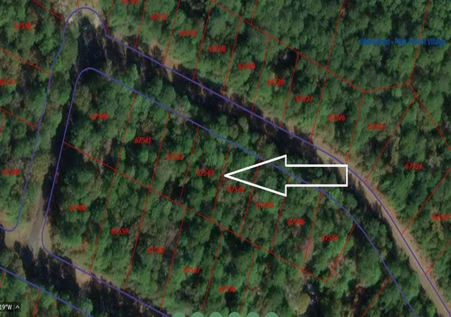 Photo 1 of Land for sale at 24509 Birch Ct, Huntsville, TX 77320 | MLS# 55005126 | Listing updated on 2026-03-25