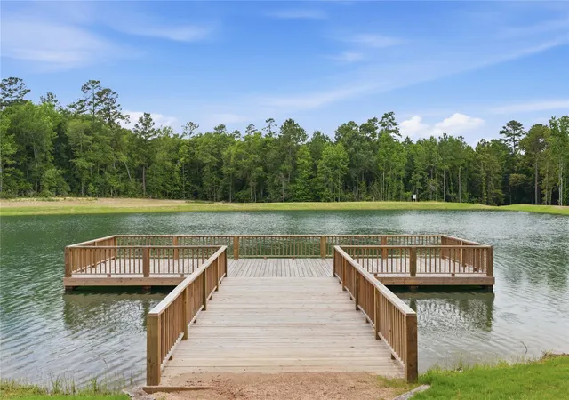 Homes for sale in New Waverly, TX | 222 Hollow Hill Dr, New Waverly, TX 77340 | MLS# 41245950