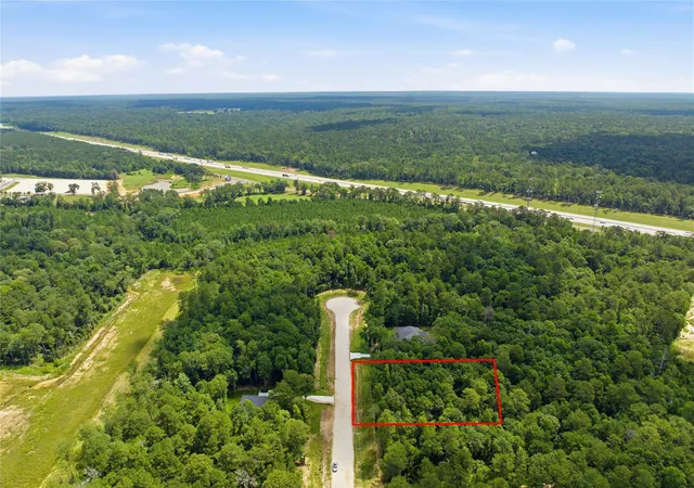 Homes for sale in New Waverly, TX | 222 Hollow Hill Dr, New Waverly, TX 77340 | MLS# 41245950