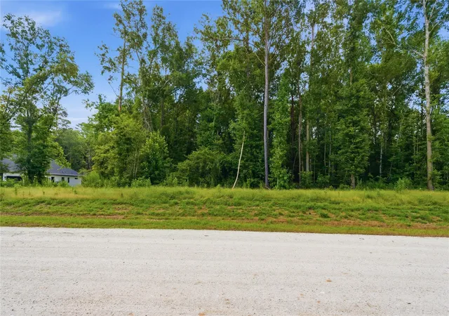 Homes for sale in New Waverly, TX | 222 Hollow Hill Dr, New Waverly, TX 77340 | MLS# 41245950