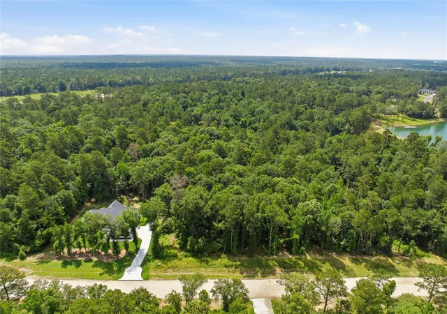 Homes for sale in New Waverly, TX | 222 Hollow Hill Dr, New Waverly, TX 77340 | MLS# 41245950