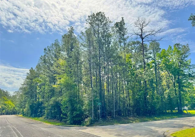 2nd image of 0 Queenswood Plaza, Huntsville, TX 77320 | MLS# 78964961