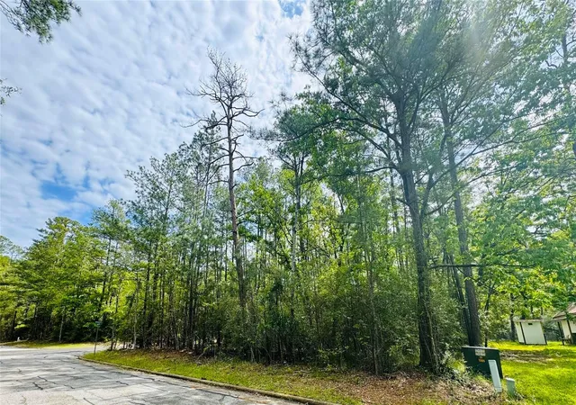 3rd image of 0 Queenswood Plaza, Huntsville, TX 77320 | MLS# 78964961