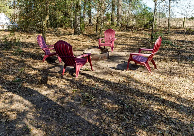 Photo 49 of Land for sale at 11201 County Road 203, Plantersville, TX 77363 | MLS# 30674969 | Listing updated on 2026-08-30