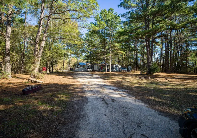 Photo 4 of Land for sale at 11201 County Road 203, Plantersville, TX 77363 | MLS# 30674969 | Listing updated on 2026-08-30