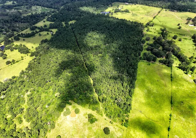 1st image of Tbd Cr 4120, Crockett, TX 75835 | MLS# 47500196