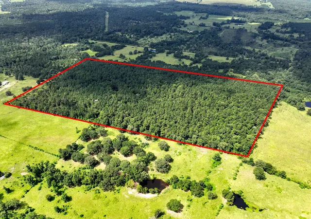 26th image of Tbd Cr 4120, Crockett, TX 75835 | MLS# 47500196