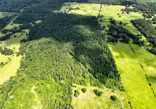 3rd image of Tbd Cr 4120, Crockett, TX 75835 | MLS# 47500196