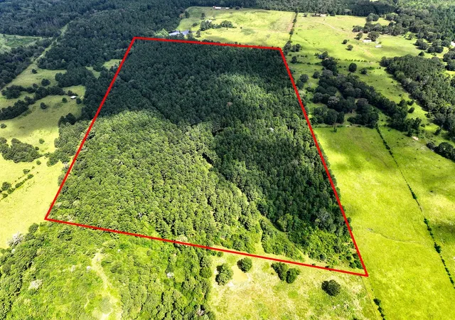 4th image of Tbd Cr 4120, Crockett, TX 75835 | MLS# 47500196