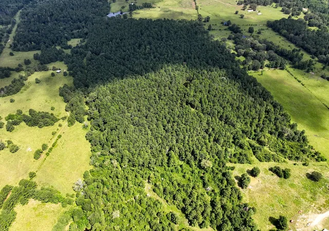 5th image of Tbd Cr 4120, Crockett, TX 75835 | MLS# 47500196