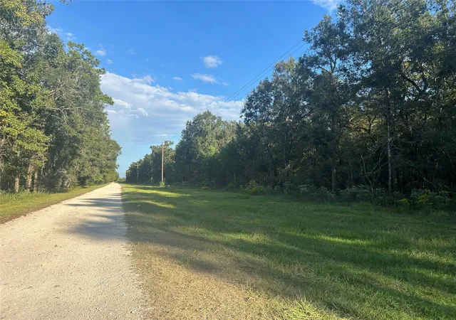 1st image of Tract 45, 46 Tx 61 Pr 117, Devers, TX 77538 | MLS# 9620729