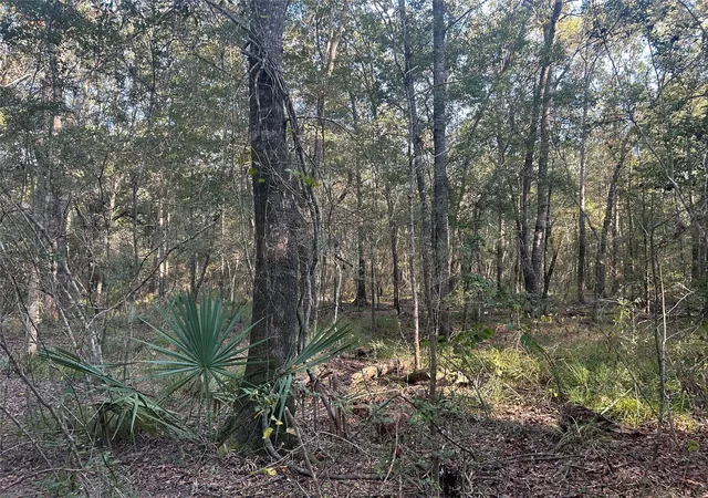 2nd image of Tract 45, 46 Tx 61 Pr 117, Devers, TX 77538 | MLS# 9620729