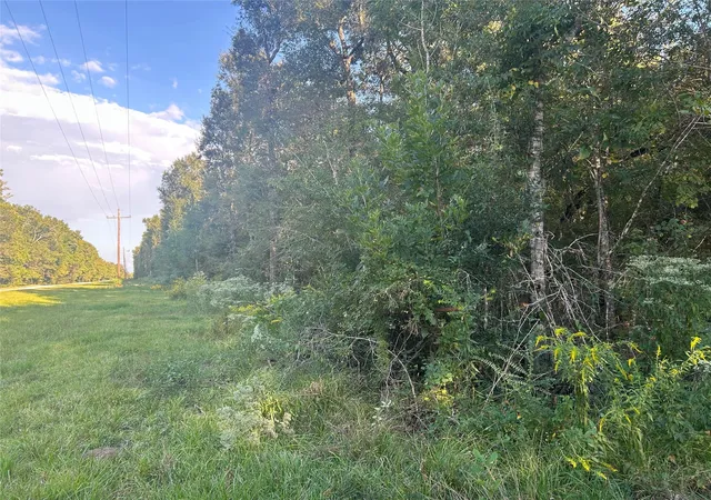 3rd image of Tract 45, 46 Tx-61 Pr 117, Devers, TX 77538 | MLS# 9620729