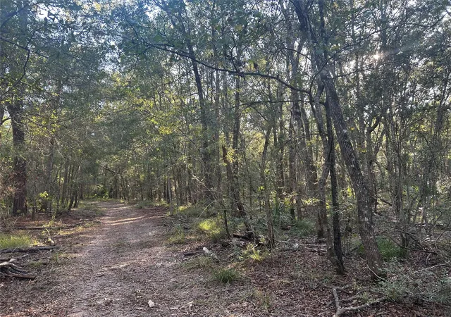 4th image of Tract 45, 46 Tx-61 Pr 117, Devers, TX 77538 | MLS# 9620729