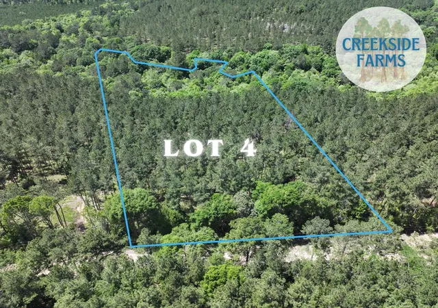 5th image of 000000000 Kelley Rd, Livingston, TX 77351 | MLS# 18376090