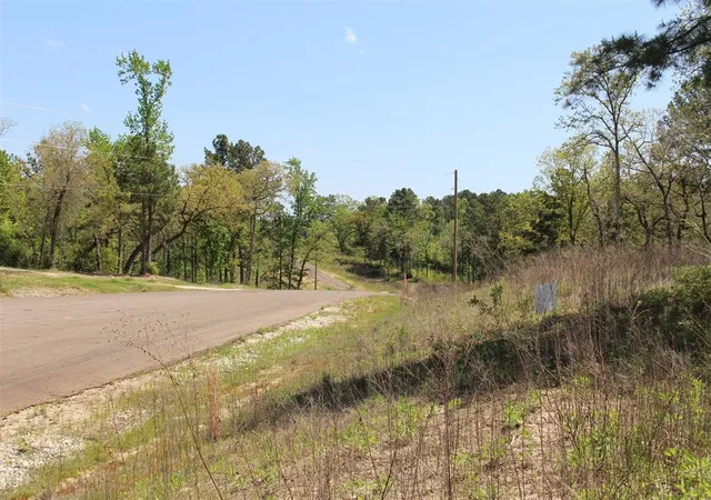 Photo 3 of Land for sale at Tract 73 Private Rd 1315, Centerville, TX 75833 | MLS# 29616769 | Listing updated on 2026-04-22