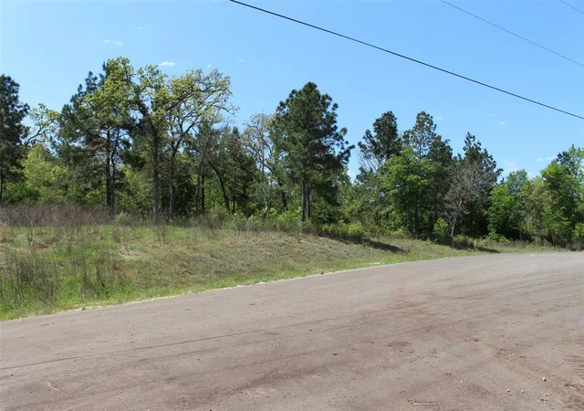 Photo 4 of Land for sale at Tract 73 Private Rd 1315, Centerville, TX 75833 | MLS# 29616769 | Listing updated on 2026-04-22