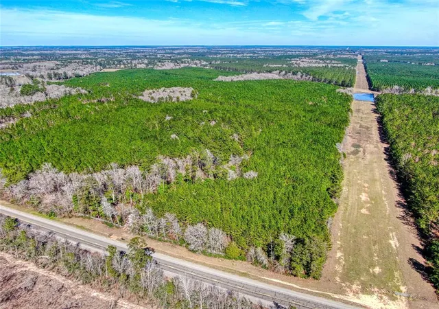 1st image of 12155 State Hwy 146, Livingston, TX 77351 | MLS# 65082461