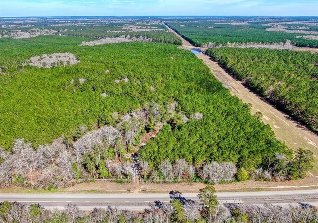 3rd image of 12155 State Hwy 146, Livingston, TX 77351 | MLS# 65082461