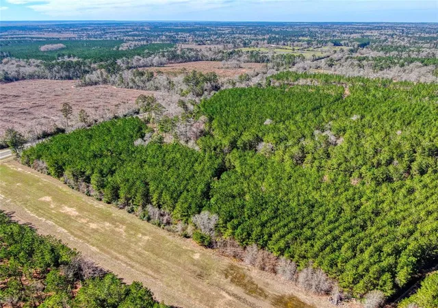 4th image of 12155 State Hwy 146, Livingston, TX 77351 | MLS# 65082461