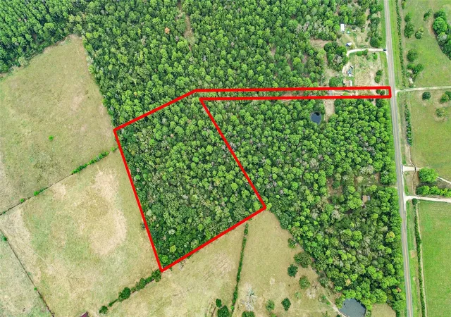 Photo 2 of Land for sale at Tbd S Sh 94, Trinity, TX 75862 | MLS# 57738905 | Listing updated on 2026-08-04