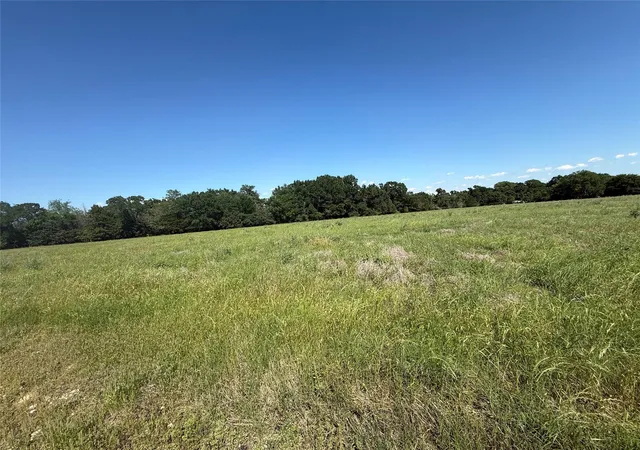 Photo 4 of Land for sale at Tract 1 Tbd Hwy 164, Donie, TX 75838 | MLS# 25471555 | Listing updated on 2026-06-02
