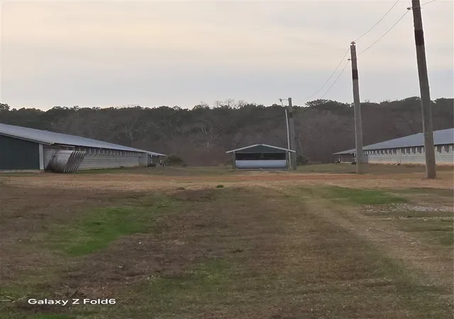 Homes for sale in Gilmer, TX | 5516 Orchid Rd, Gilmer, TX 75683 | MLS# 10090737