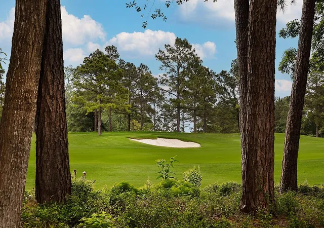 Homes for sale in The Woodlands, TX | 23 N Fazio Wy, The Woodlands, TX 77389 | MLS# 15538191