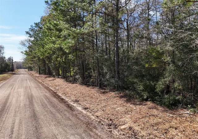 Photo 4 of Land for sale at Tbd County Line Rd Parcel 1, Willis, TX 77378 | MLS# 96636685 | Listing updated on 2026-07-06