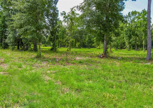 Photo 4 of Land for sale at 5 Ac Hwy 321, Cleveland, TX 77327 | MLS# 53587624 | Listing updated on 2026-07-23