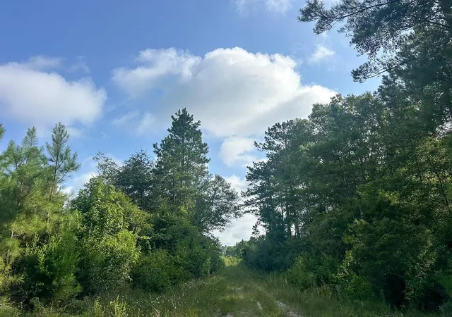 3rd image of T-1 Fm 943, Kountze, TX 77625 | MLS# 25674476