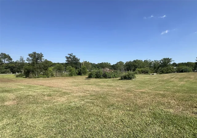 Photo 4 of Land for sale at 19648 Chigger Crk Dr, Alvin, TX 77511 | MLS# 44521174 | Listing updated on 2026-06-19