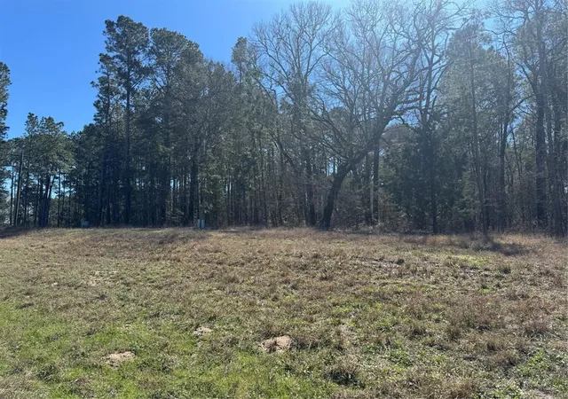 1st image of Tbd Us 190, Point Blank, TX 77364 | MLS# 67925046